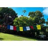Guru Rinpoche Tibetan Prayer Flags From Nepal Set of 10