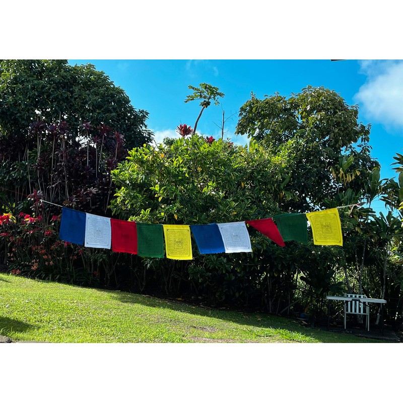 Guru Rinpoche Tibetan Prayer Flags From Nepal Set of 10