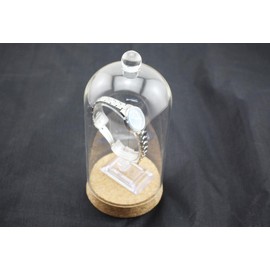 Speed mao Glass Watch Stand Storage Transparent Collection Case