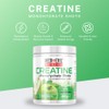 Medi-Evil Nutrition Creatine Monohydrate Powder 400g, Green Apple Flavour, Micronised