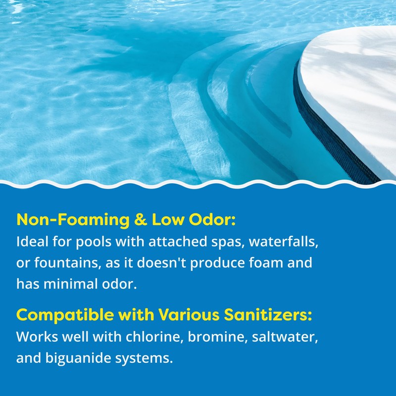 In The Swim Algaecide 60 Plus for Swimming Pools -
