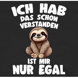 Shirtracer - Men's Hoodie Pullover - Ich hab das Schon verstanden ist Mir nur egal I Funny Saying Sloth, 1 black