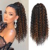 AISI BEAUTY Afro Kinky Curly Drawstring Ponytail Hair Extension for