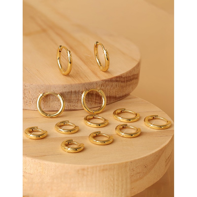 FANCH Hoop Earrings 925 Silver for Men and Women 14K