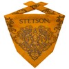 Stetson Paisley Bandana - Headscarf Made of 100% Cotton -