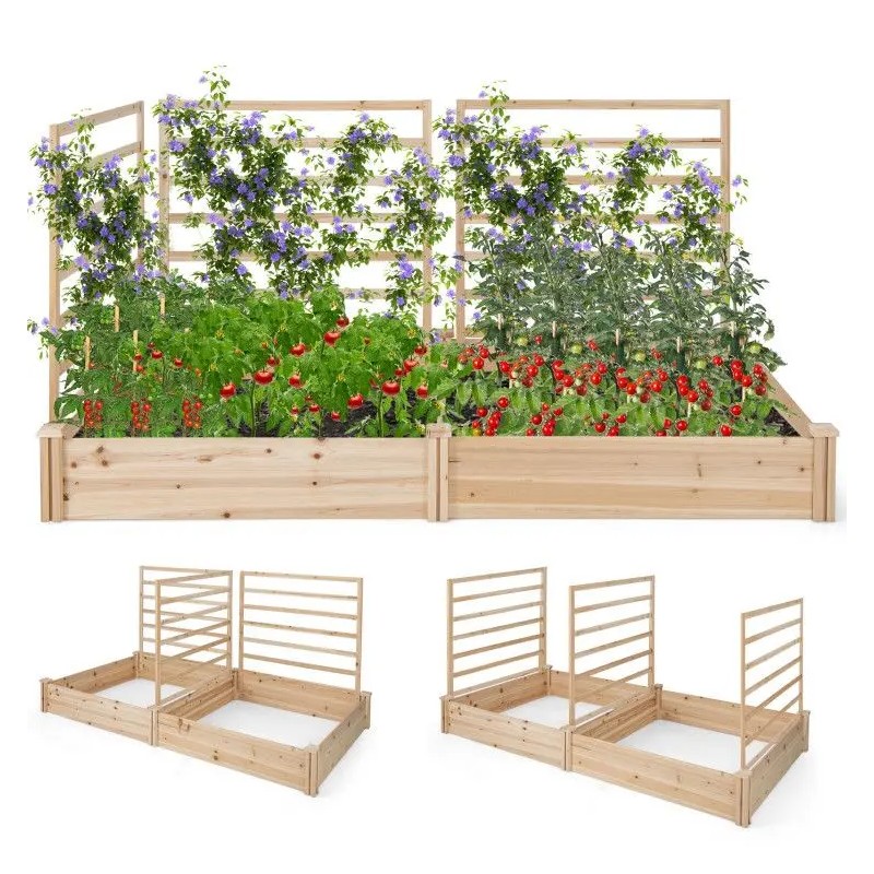 Raised Garden Bed with 2 Planter Boxes and 3 Trellis