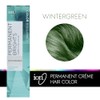 Ion Permanent Brights Crema Tinte para el cabello Wintergreen Wintergreen