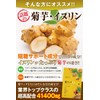 管理栄養士監修 菊芋 イヌリン 高配合41400mg サラシア ナットウキナーゼ 麹菌 乳酸菌 国内産 30日分