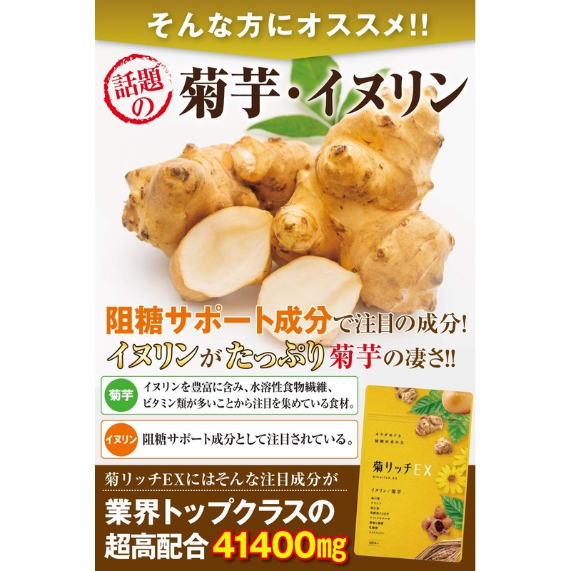 管理栄養士監修 菊芋 イヌリン 高配合41400mg サラシア ナットウキナーゼ 麹菌 乳酸菌 国内産 30日分
