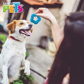 Fancy Pets Juguete Estrella de Caucho para Perros Cachorros y Razas Pequeas 7 cm Extra Chico                                                          