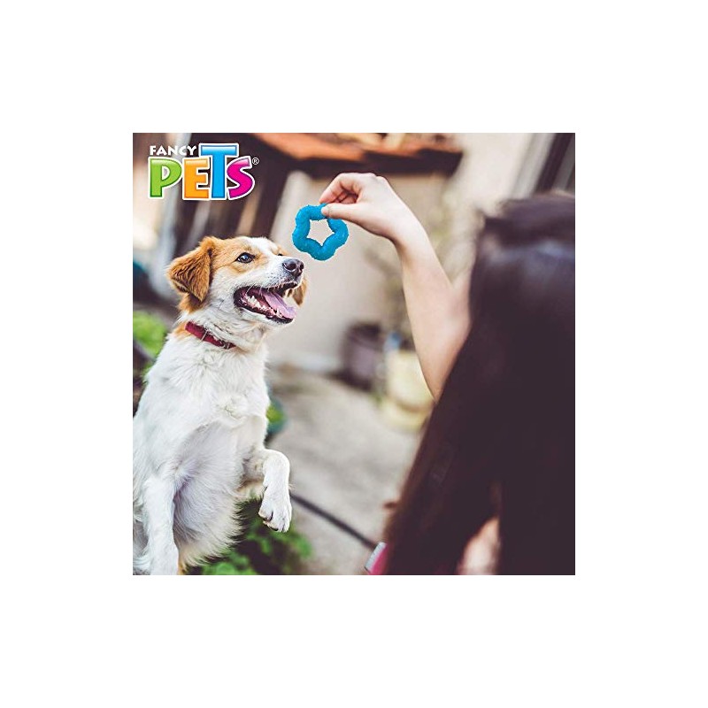 Fancy Pets Juguete Estrella de Caucho para Perros Cachorros y