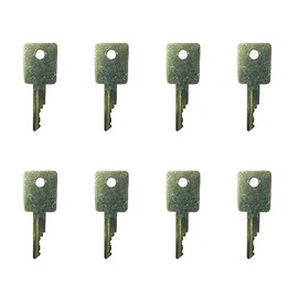 LEFITPA 8 Pack Replacement 6693241 Ignition Key Stamped D250 for Case IH ELI80-0126 58917261 6709527 A77313 for Bobcat 751 753 763 773 863 873 883 963 Industrial Construction Models