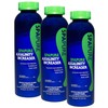 PureSpa SpaPure Alkalinity Increaser (1 lb) (3 Pack)