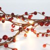 Rhytsing Red Berry Branch Pre-lit Garland with 30LED Lights, Battery