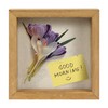 TJ.MOREE Shadow Box Frame 5 x 5 Shadowbox Display Case