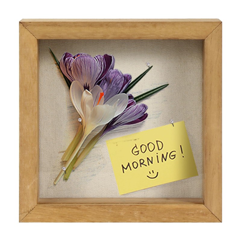 TJ.MOREE Shadow Box Frame 5 x 5 Shadowbox Display Case