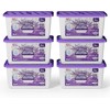 W&E Choice Moisture Absorber, Lavender Scented Dehumidifier for Home, Large
