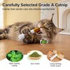 Potaroma 3-Pack Catnip Cat Toys, 15,000mg A+ Pure Kitten Kickers