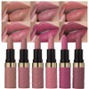evpct- Juego de 6 pintalabios mate color piel, marrón, rosa,