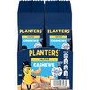 PLANTERS Cashews Salted, Plant-Based Protein, Individually Packed Snacks, Quick Snack