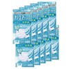 Iris Ohyama PK-NI7L Non-Woven Nano Air Mask, Pleated Mask, Pack