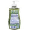 Dial Antibacterial Defense Hand Soap with Aloe, Eucalyptus & Mint