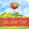Apple & Eve Sesame Street Organics, Big Bird's Apple Juice,