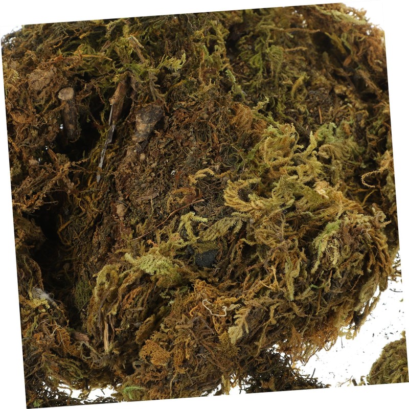 Operitacx Vivid Artificial Moss for DIY Moss Projects Decorative Terrarium
