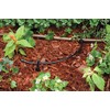 Rain Bird T22-100S Drip Irrigation 1/4" Blank Distribution Tubing, 100'