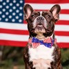 PTDECOR American Flag Dog Collar with Bowtie, Multi Size Adjustable