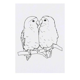 'Lovebirds Cuddling' Temporary Tattoo - Water Resistant, Skin-Safe, Non-Toxic Transfer (TO00085057)
