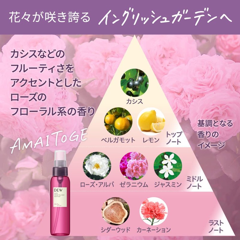 DEW RS uruOi Retreat Fog Water