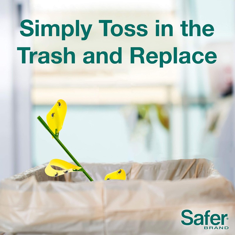 Safer Brand SF5026 Houseplant Sticky Stakes Insect Traps, 1 Pack,