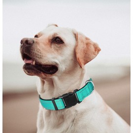 Large Dog Collar, Reflective Pet Collar with Buckle Adjustable Safety Nylon Collars for Small Medium Large Dogs, Teal