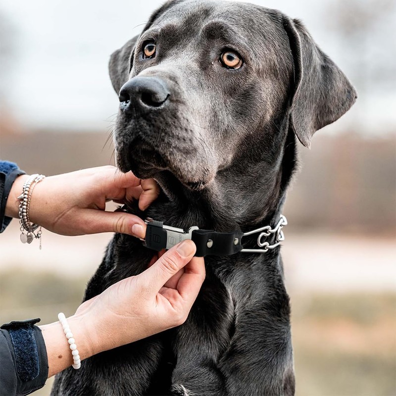 Herm Sprenger 2.25mm Prong Collar for Dog Training with Adjustable