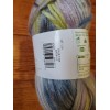 Loops & Threads Yarn Eco Cozy Watercolors water lily 5.3oz