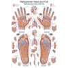 Teaching Board "Reflex Zones Hand and Foot", 70 x 100