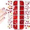 24Grid Heart Nail Art Glitter Valentine's Day Nail Art Flakes