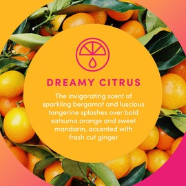 Clean Revolution Liquid Gel Hand Soap, Silky Rich Liquid, Quick Lather, Fast Rinsing, Contains Real Essential Oils (Dreamy Citrus) 64 Fl Oz