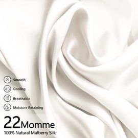 Pure Mulberry Silk Pillowcase for Hair & Skin, 22 Momme Both Side with Envelope Closure, 1pack Standard Size, 600 Count Thread 100% Natural Silk Bed Pillow Cover, Breathable Luxury Gift, White, 20x26
