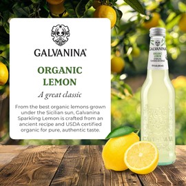 Galvanina Lemon – Organic Italian Sparkling Soda, 12 fl oz (12 Glass Bottles) | Crafted with Sicilian Lemons for a Zesty, Refreshing Drink.