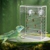 Bearded Dragon Feeder, Chameleon Bug Bowl, Transparentk Acrylic Reptile Feeder Box, Wall-Mounted Insect Food Dish with Suction Cups, Tank and Aquarium Accessories for Lizard Bearded Dragon Gecko Frog
