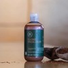 Tea Tree Tea Tree Special Color Shampoo, 10.14 Fl Oz