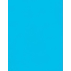 Blue Cardstock - 8.5 x 11 inch - 65Lb Cover - 50 Sheets - Clear Path Paper