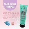 Hair Wellness, Revitalise with Clean Shampoo, Protect Scalp Shampoo and