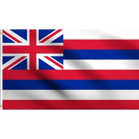DMSE Hawaii State Hawaiian Ka Hae Hawaiʻi Flag 3X5 Ft Foot 100% Polyester 100D Flag UV Resistant (3' X 5' Ft Foot)