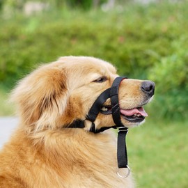 ILEPARK Dog Halter with Seat Belt, Head Harness for Dogs to Stop Pulling, Adjustable and Easy to Control (L, Black)