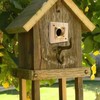 ZJ1WYZQQ Bluebird House Predator Guard， with Copper Gate Predator Protection