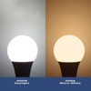 Welitesim A15 E26 E27 LED Light Bulbs,25W Equivalent,3000K Warm White,3W