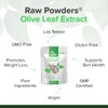 Olive Leaf Extract 500 mg 120 Capsules High Strength Extract
